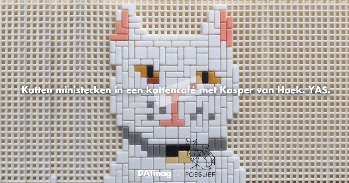 Bedelen handelaar Bitterheid Katten ministecken in een kattencafé met Kasper van Hoek (UITVERKOCHT!) -  DATmag